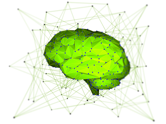 Neural Network